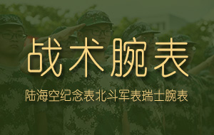 首页分类右侧1